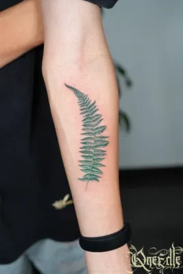 Fern-Leaf-Realism Tattoo-Qneedle-Hanoi