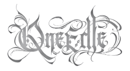 Qneedle Studio