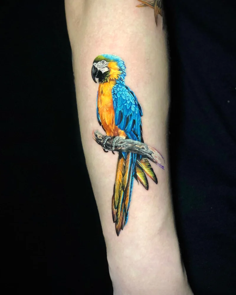 Color realism tattoo of a blue and yellow parrot perched on a branch at Qneedle Tattoo Studio